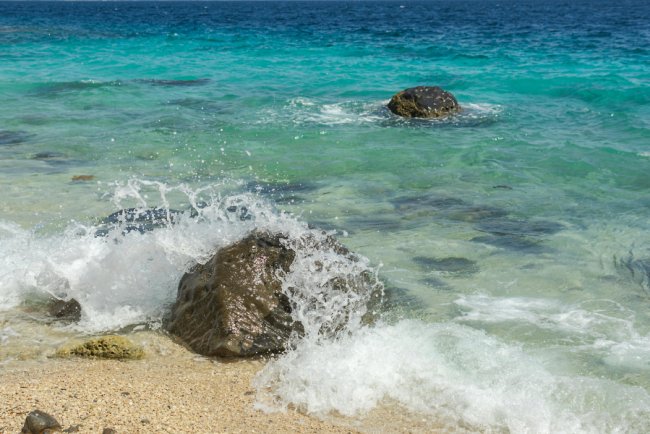 Study links polymer-coated fertilisers to Japan’s missing marine plastics