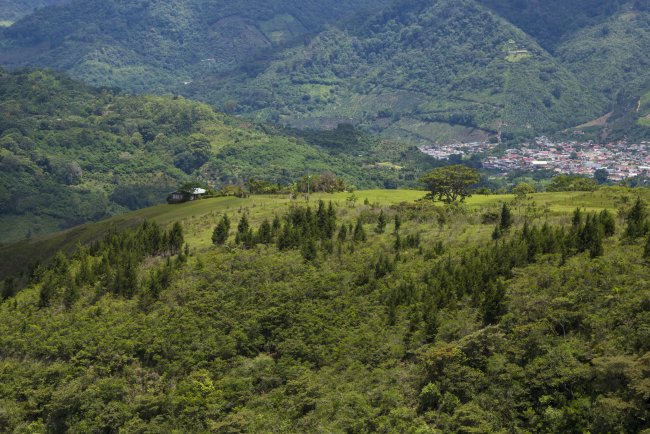 Uttarakhand’s Green Cover Under Stress: 20-Year Satellite Study Shows Slow Shift