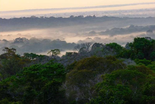 Amazon Turned Carbon Source During 2023 Drought, Study in AGU Advances Finds