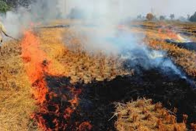 CAQM issues statutory direction to eliminate wheat stubble burning in 2026