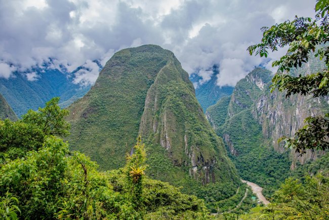 Study Finds Peru’s Logging Rules May Weaken Amazon Carbon Storage