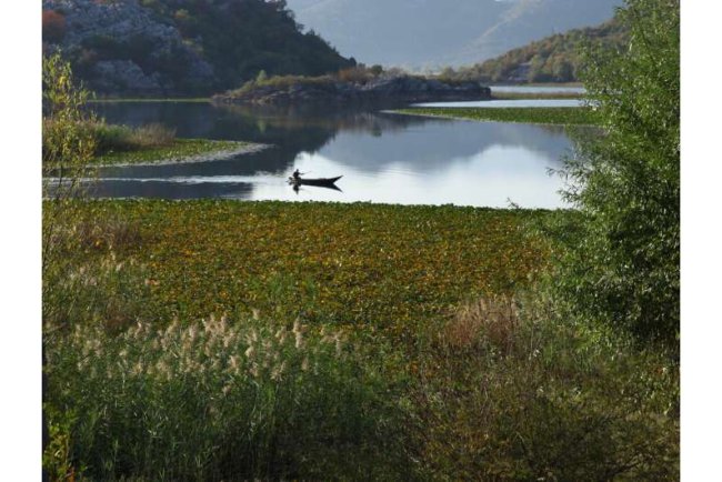 Mediterranean Wetlands Under Pressure from Agriculture and Climate Change: Report