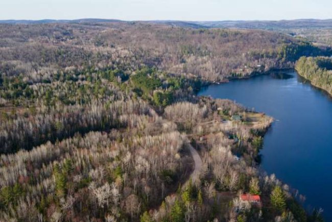 Forest Loss Changes How Watersheds Store and Release Water, Global Study Finds