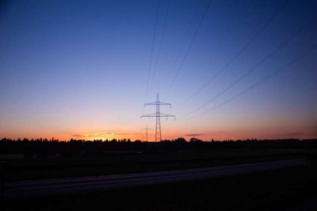 Study Finds Oaks, Dry Duff and Debris Increase Power Line Failure and Wildfire Risk