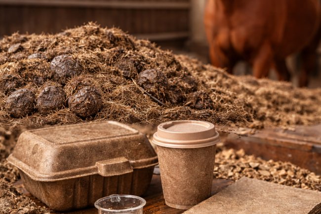 Scientists Turn Horse Manure into Sustainable Plastic Alternative