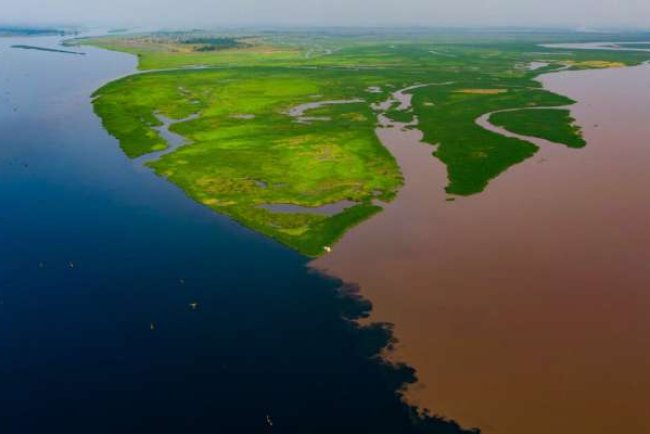 Peatland Lakes in Congo Basin Emit Ancient Carbon, New Research Shows