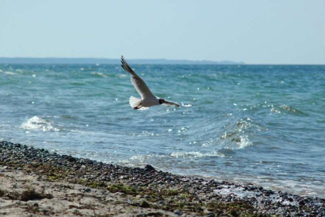 Germany’s Coasts Face Rising Sea Levels and Flood Risks