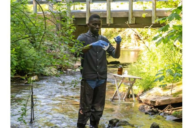 Pesticides Detected in Nearly All U.S. Streams, Study Finds