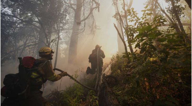 Study Finds Climate Change Increased Wildfire Risk in Chile and Argentina