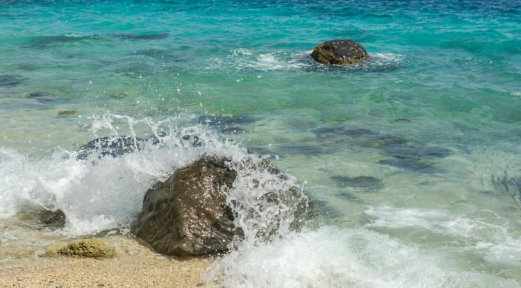Study links polymer-coated fertilisers to Japan’s missing marine plastics