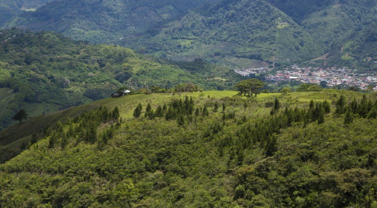 Uttarakhand’s Green Cover Under Stress: 20-Year Satellite Study Shows Slow Shift