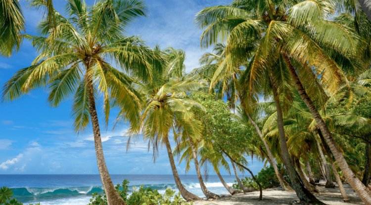 Caribbean Heatwaves Growing Longer and More Severe, Study Finds