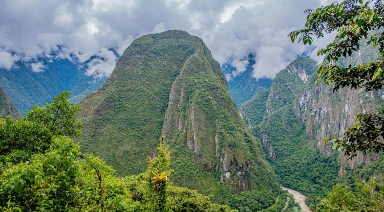 Study Finds Peru’s Logging Rules May Weaken Amazon Carbon Storage
