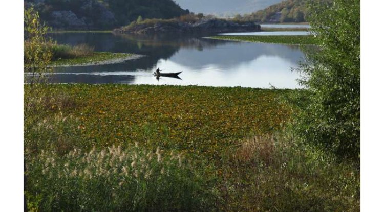 Mediterranean Wetlands Under Pressure from Agriculture and Climate Change: Report