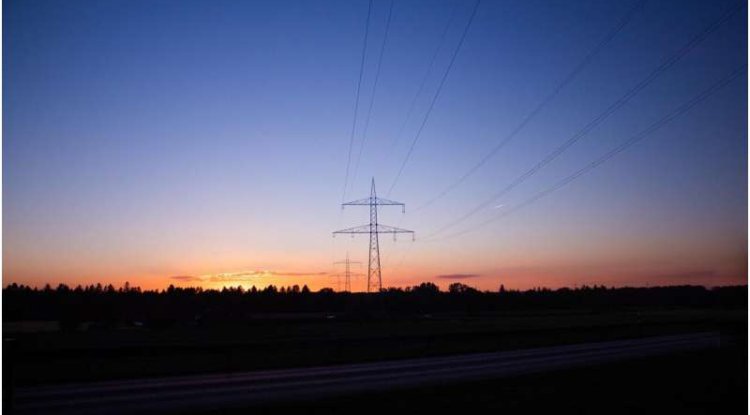 Study Finds Oaks, Dry Duff and Debris Increase Power Line Failure and Wildfire Risk