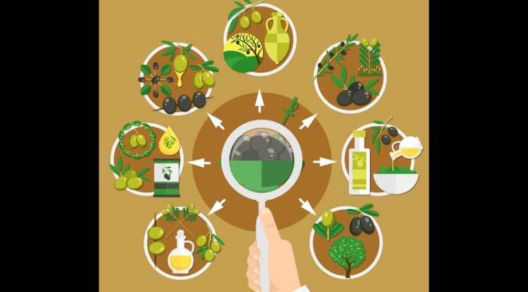 PepsiCo, National Geographic Expand Regenerative Farming
