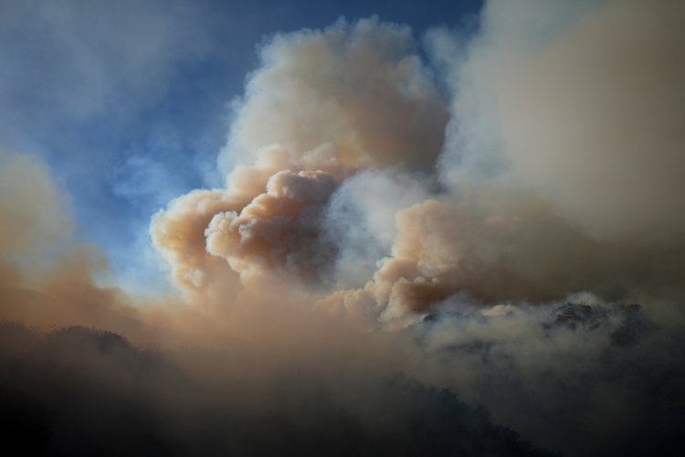Wildfire smoke linked to thousands of deaths each year in the US, study finds