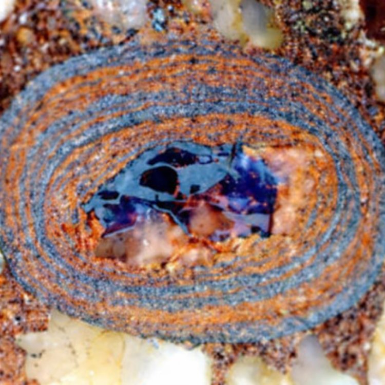 Ancient Ocean Stones Reveal How Carbon Shaped Life on Earth