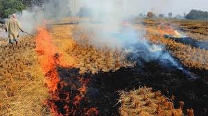 CAQM issues statutory direction to eliminate wheat stubble burning in 2026
