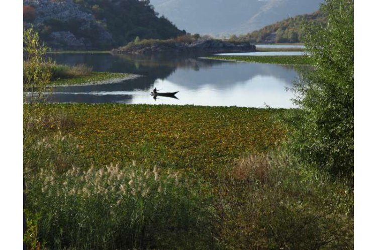 Mediterranean Wetlands Under Pressure from Agriculture and Climate Change: Report