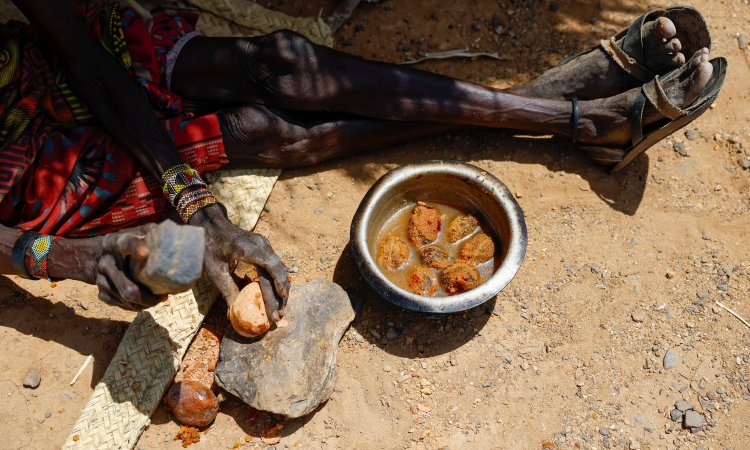 Drought Deepens Hunger in Northern Kenya as Aid Cuts Reduce Food Support, Data Shows