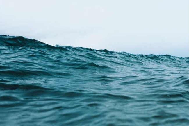 Gaps in Ocean Carbon Data May Affect Climate Forecast Accuracy, Report Finds