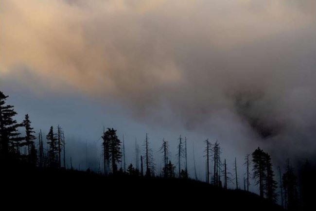 How Wildfire Smoke Triggers Aggression and Violence