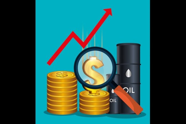 India Unlikely to Raise Fuel Prices as Crude Nears $80