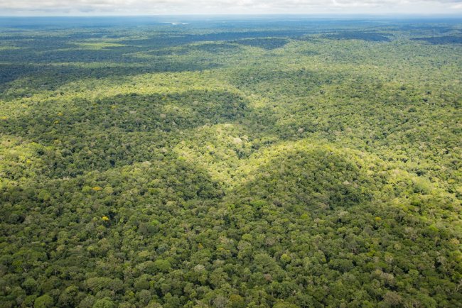 Deforestation in the Amazon Could Intensify Extreme Weather, Study Finds