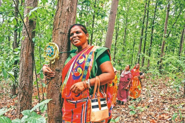 The Woman Who Stood Up For The Forest