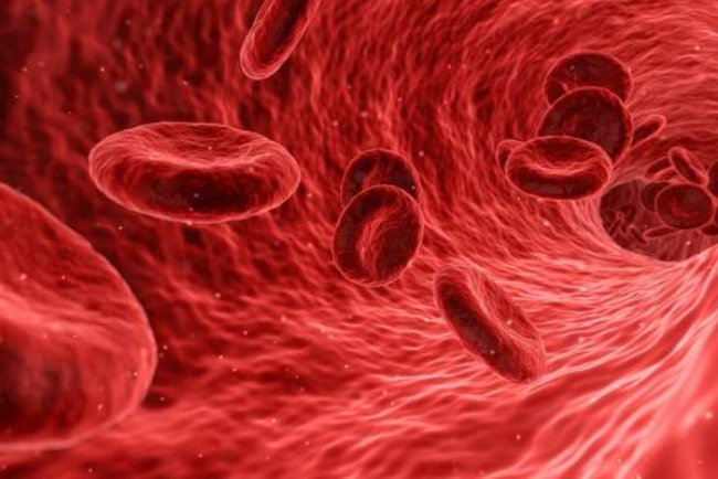 Study Examines Link Between Rising Atmospheric CO₂ and Changes in Human Blood Chemistry