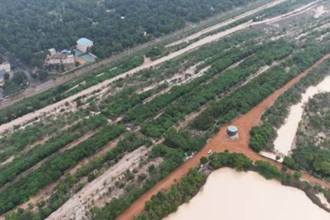 How NLC India Is Transforming Mined Lands Sustainably