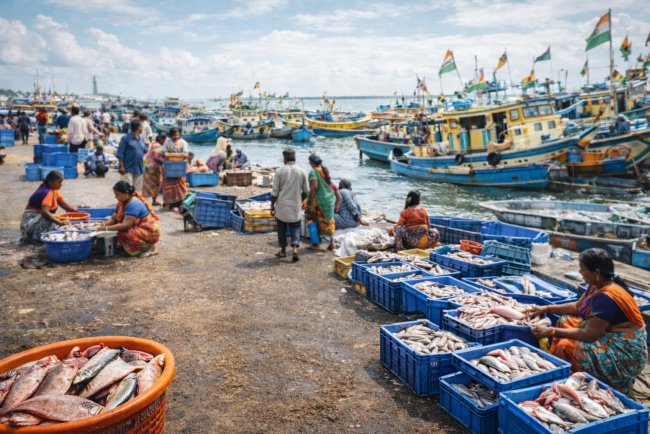 Fisheries Schemes Boost Livelihoods of Fishing Communities Across India