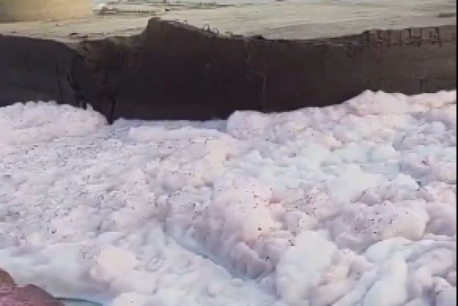 Yamuna Water in Delhi Turns Slightly Pink, Foam Colour Changing Over Past 10 Days