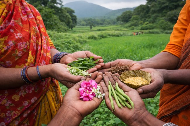 India Reports Progress on Biodiversity Benefit-Sharing System