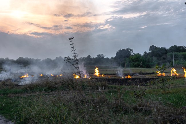 Crop Burning in North India Declines, but Challenge Persists