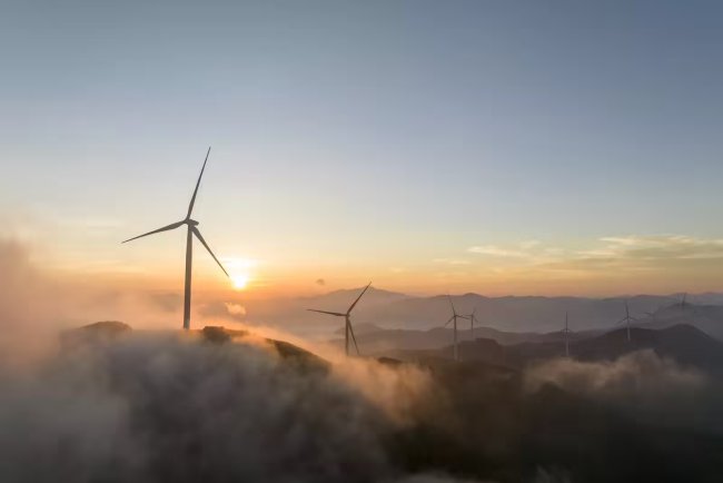 Andhra Pradesh Urges Faster Execution Of Renewable Energy Projects