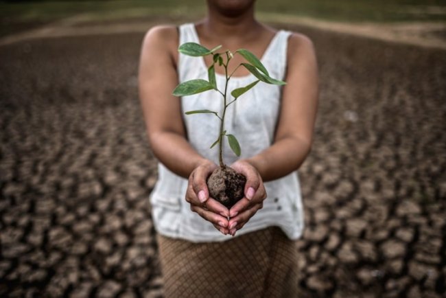 Brazil Grants First Amazon Reforestation Carbon Concession