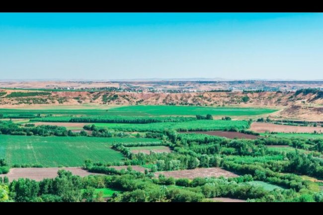 Saudi Arabia Restores 1M Hectares to Boost Climate Resilience
