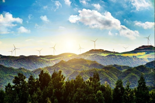 Greenpeace Africa Pushes Climate As Human Rights Issue