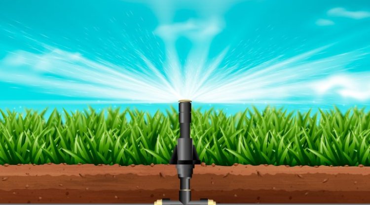 Amazon India Partners with Netafim to Reduce Farm Water Use in Karnataka and Telangana