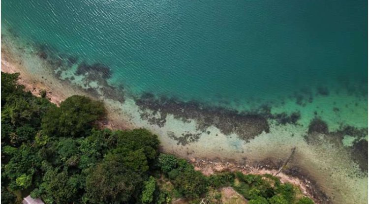Sea Levels May Already Be Higher Than Estimated, Putting Millions More at Risk