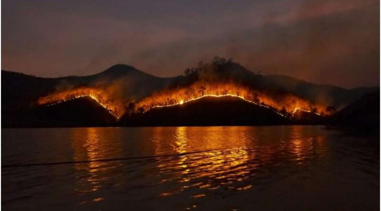 Wildfires May Contaminate Drinking Water Long After Fires End, Study Finds