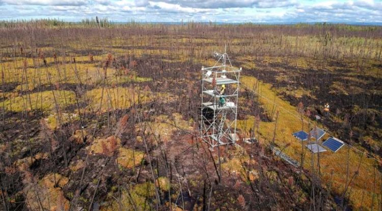 How Wildfires In Permafrost Peatlands Release Centuries Of Stored Carbon