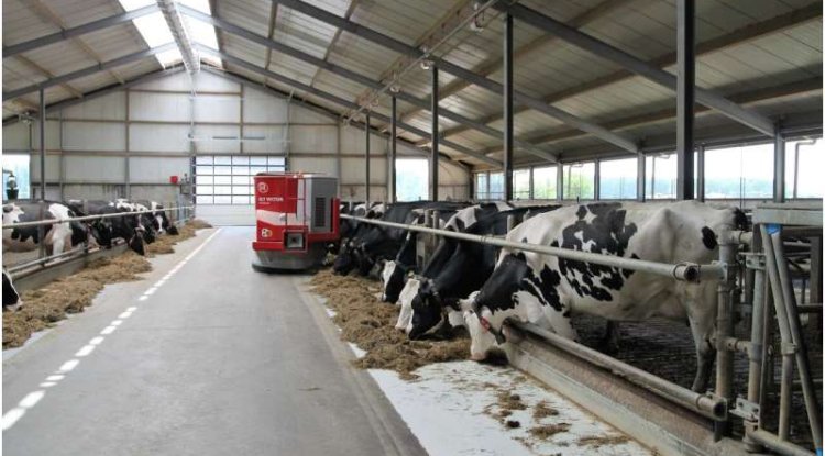 Why Oversight Failures At California Dairies Raise Water Pollution Concerns