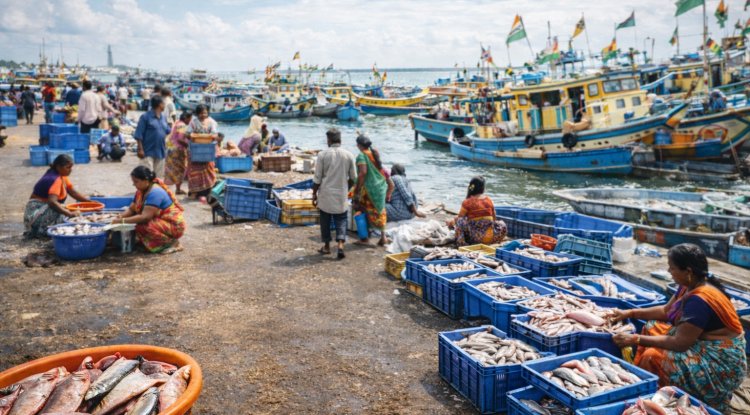 Fisheries Schemes Boost Livelihoods of Fishing Communities Across India