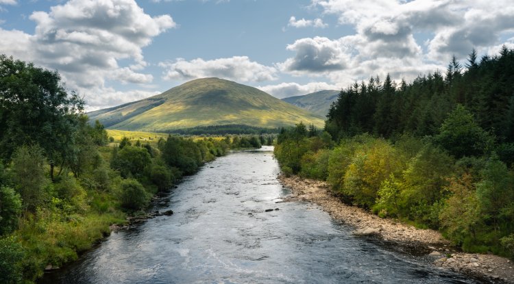 International Day of Action for Rivers: Why It Matters for India Today