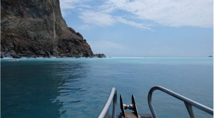 Ancient Hydrothermal Carbon Fuels Microbial Life Near Taiwan, Study Explains