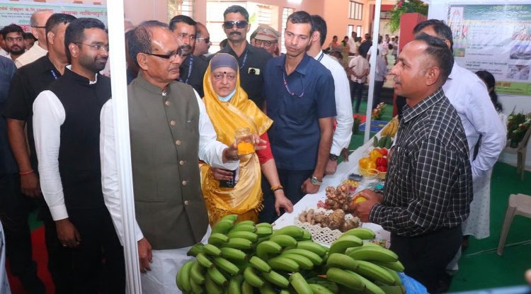 ₹200 Crore Banana Cluster Approved In Jalgaon To Boost Farm Infrastructure