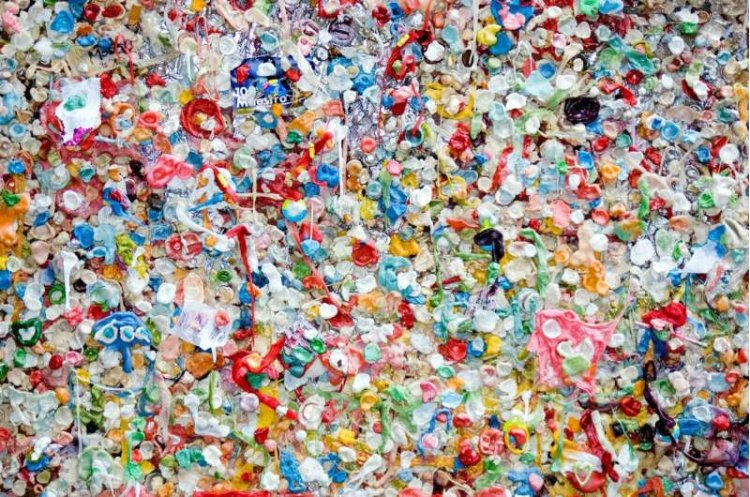 Plastic Recycling Terms May Confuse Policy and Public, Study Finds